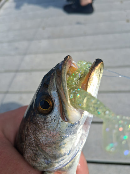 Color Guide and Customer Catches
