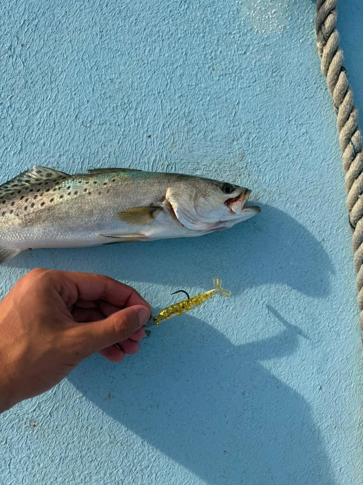 Color Guide and Customer Catches
