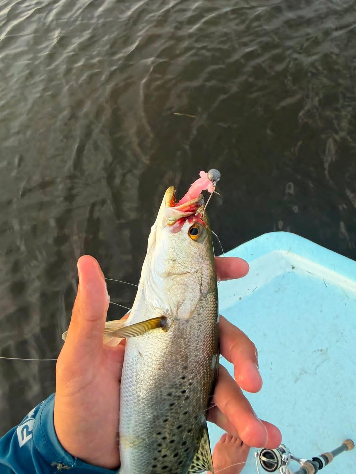 Color Guide and Customer Catches