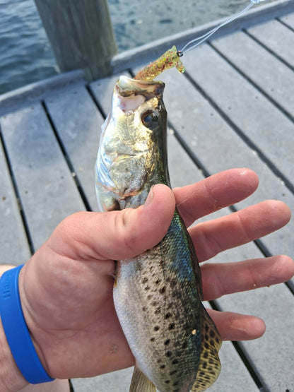 Color Guide and Customer Catches
