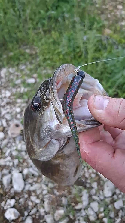Color Guide and Customer Catches