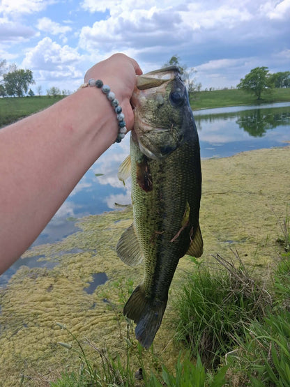 Color Guide and Customer Catches