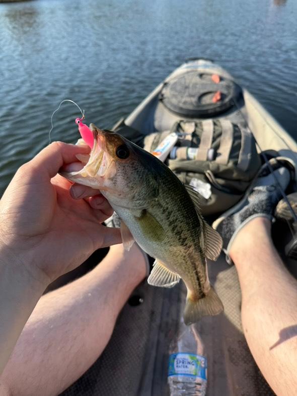 Color Guide and Customer Catches