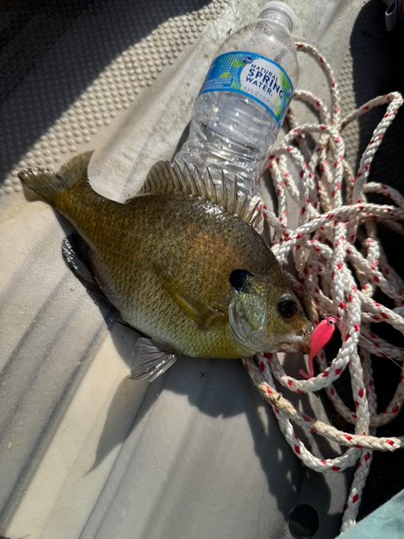 Color Guide and Customer Catches