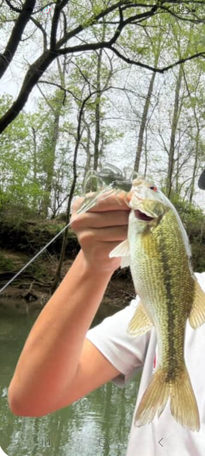 Color Guide and Customer Catches