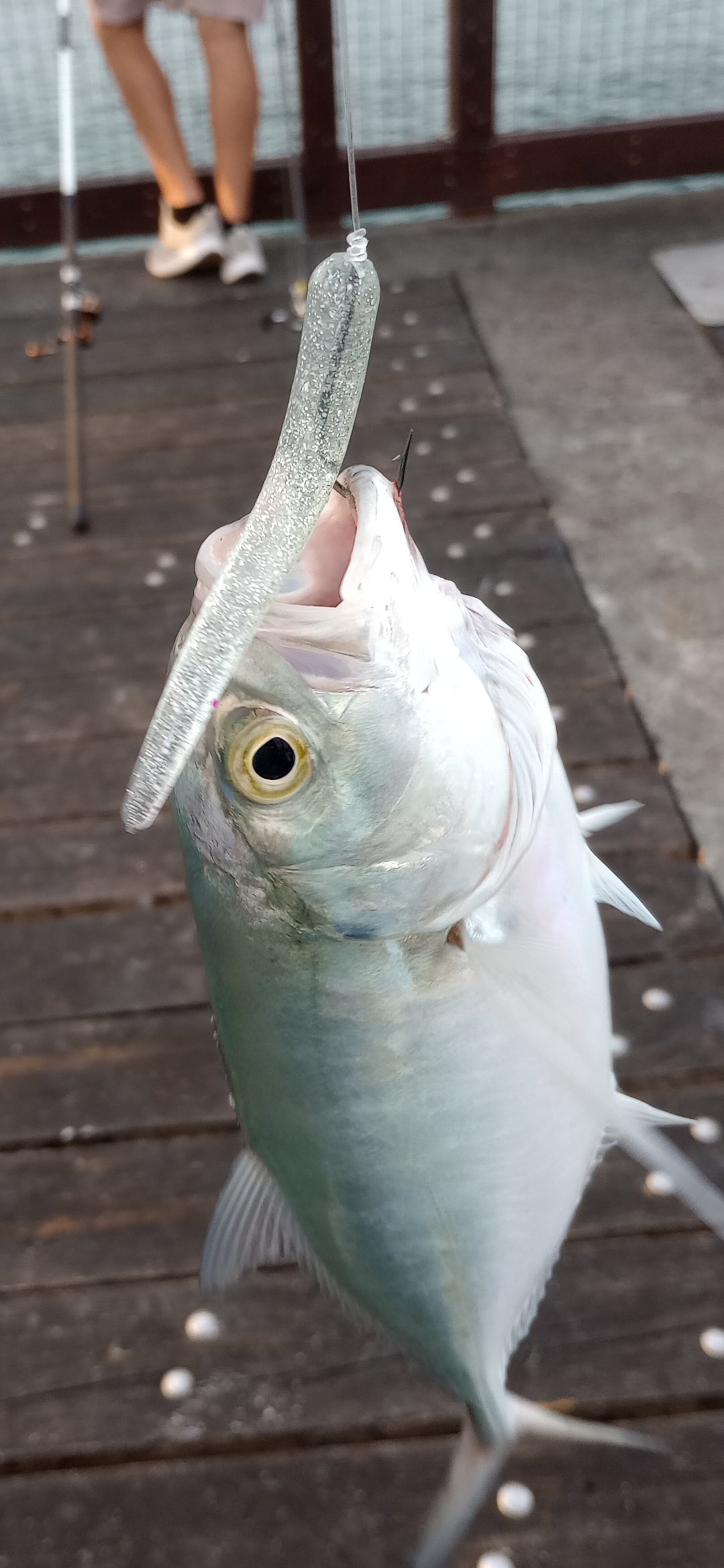 Color Guide and Customer Catches