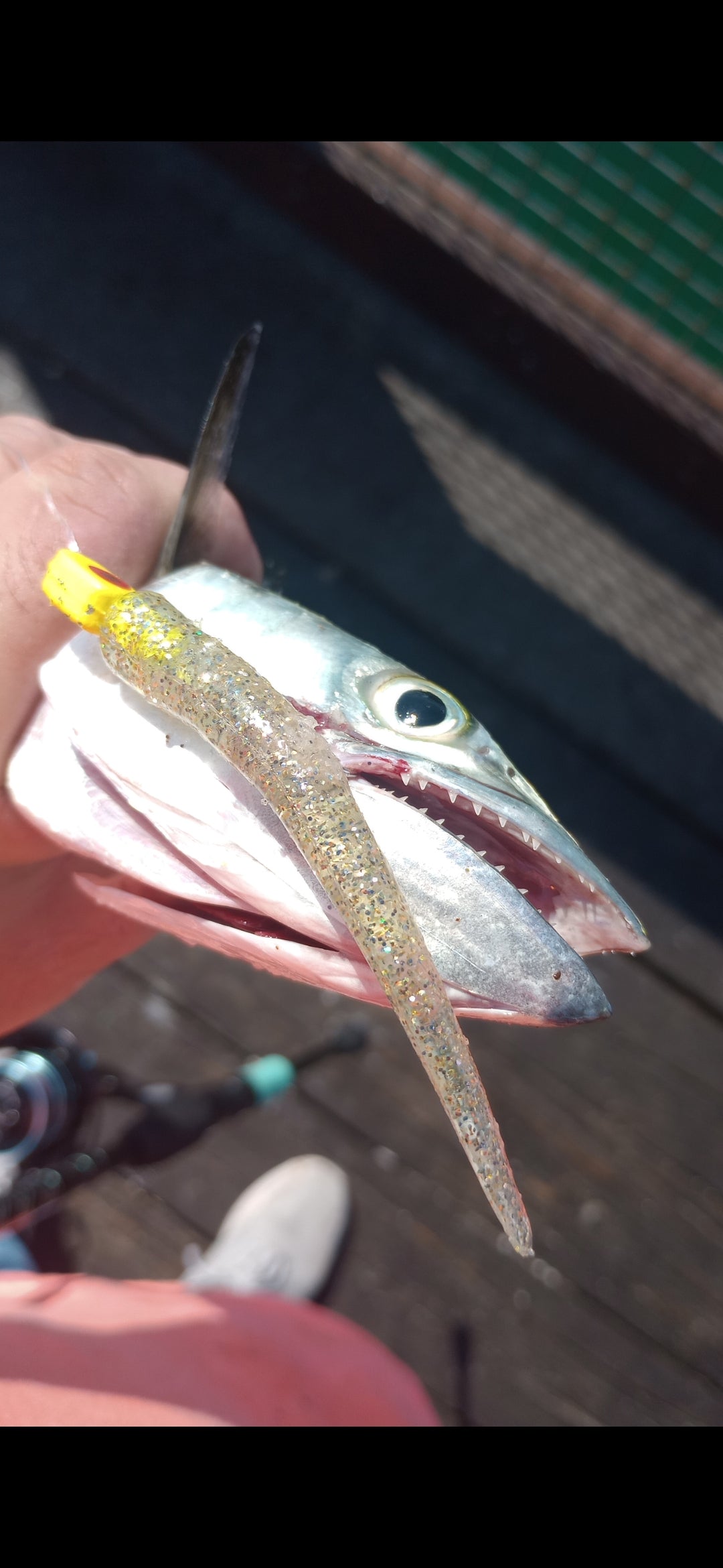 Color Guide and Customer Catches