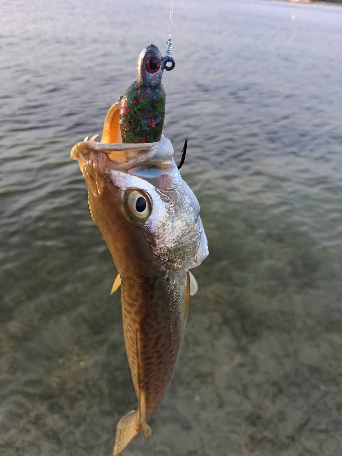 Color Guide and Customer Catches
