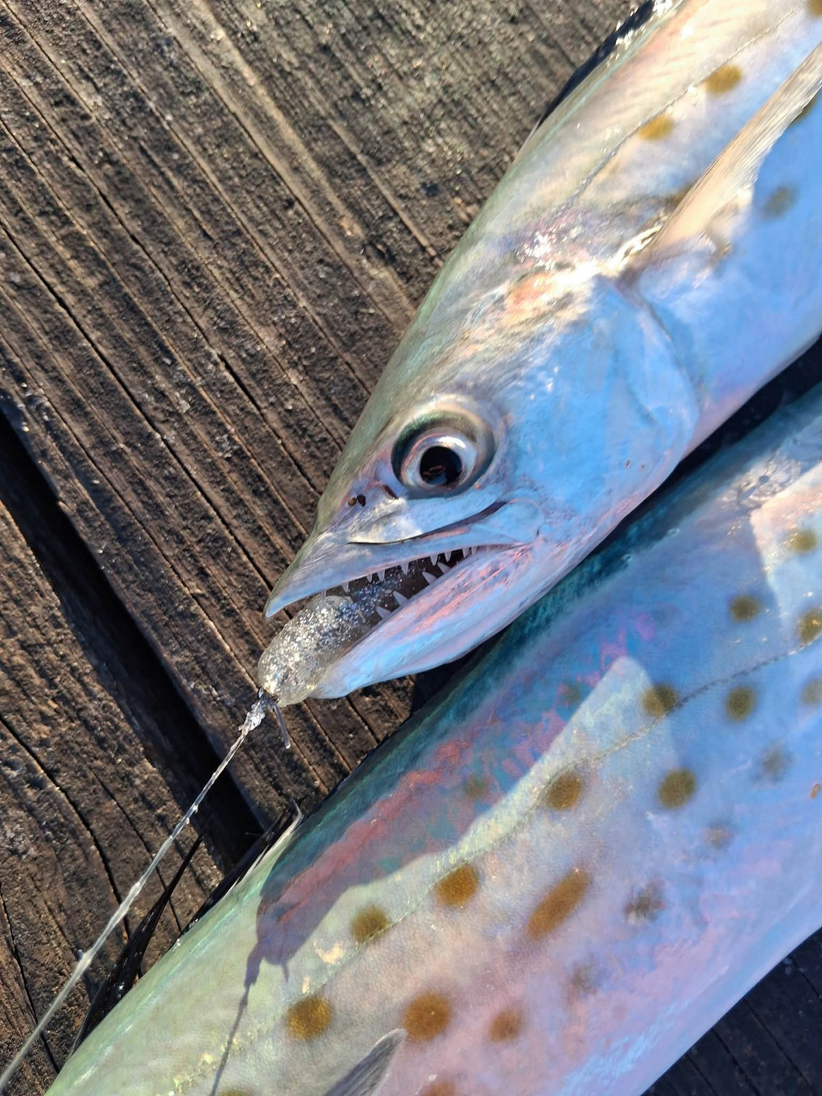 Color Guide and Customer Catches