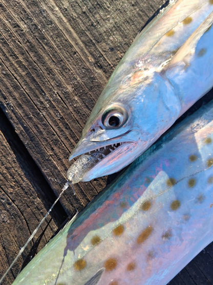 Color Guide and Customer Catches