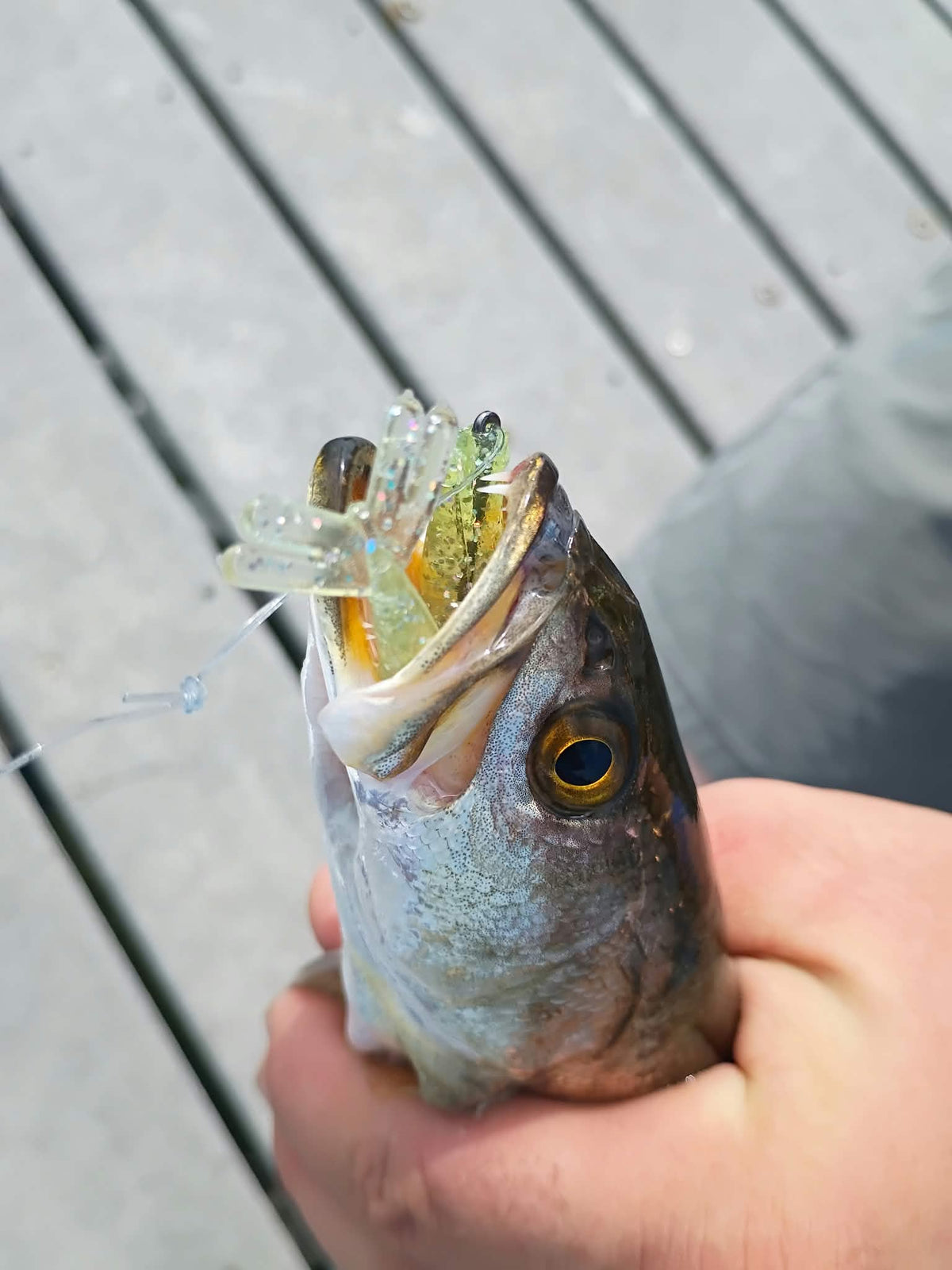 Color Guide and Customer Catches