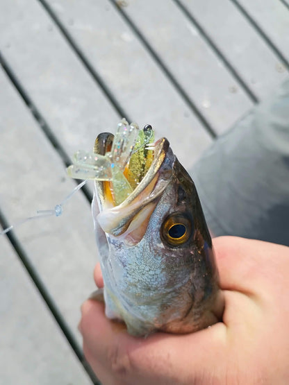 Color Guide and Customer Catches