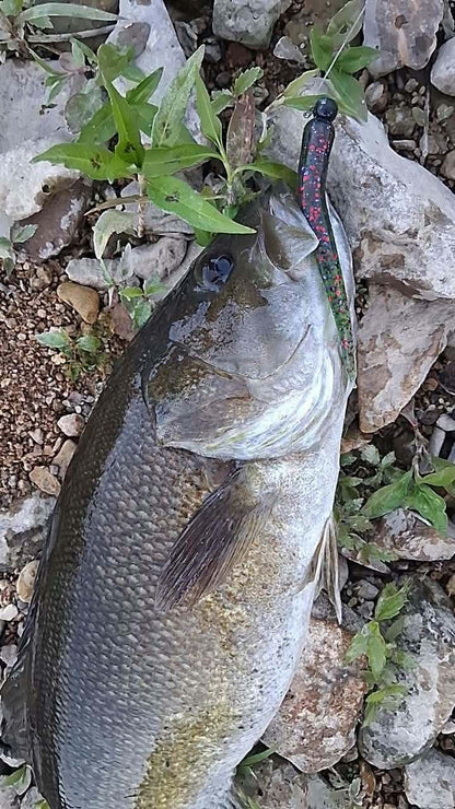 Color Guide and Customer Catches